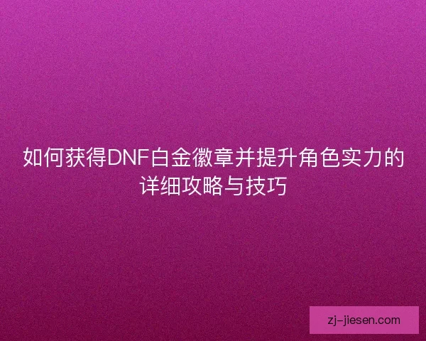 如何获得DNF白金徽章并提升角色实力的详细攻略与技巧