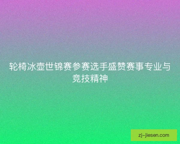 轮椅冰壶世锦赛参赛选手盛赞赛事专业与竞技精神